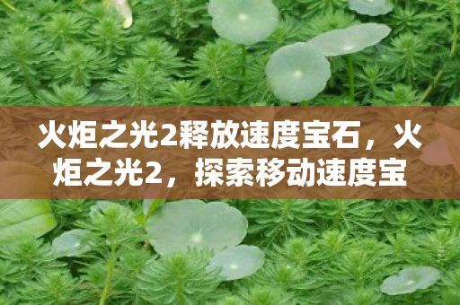 火炬之光2释放速度宝石,火炬之光2,探索移动速度宝石代码的深度解析 火炬之光2释放速度宝石,火炬之光2,探索移动速度宝石代码的深度解析