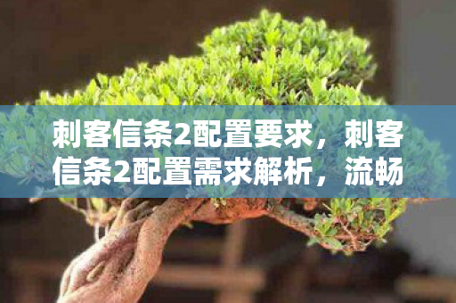 刺客信条2配置要求，刺客信条2配置需求解析，流畅体验与硬件选择的平衡