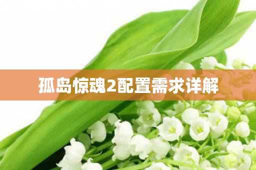 孤岛惊魂2配置需求详解