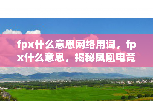fpx什么意思网络用词，fpx什么意思，揭秘凤凰电竞的崛起之路