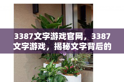 3387文字游戏官网，3387文字游戏，揭秘文字背后的数字密码