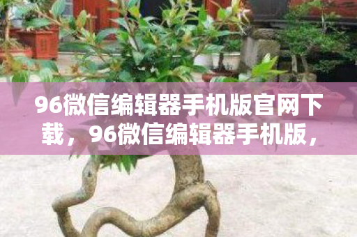 96微信编辑器手机版官网下载，96微信编辑器手机版，打造个性化内容，轻松编辑微信推文