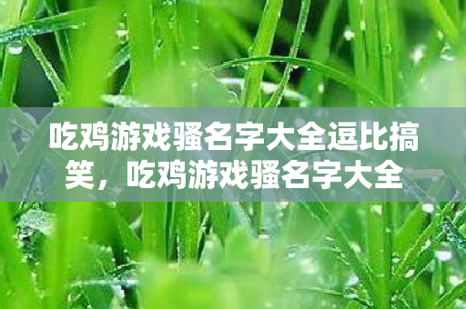 吃鸡游戏骚名字大全逗比搞笑，吃鸡游戏骚名字大全
