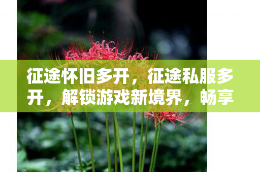 征途怀旧多开，征途私服多开，解锁游戏新境界，畅享无限可能