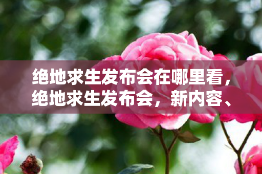 绝地求生发布会在哪里看，绝地求生发布会，新内容、新体验，引领吃鸡新时代