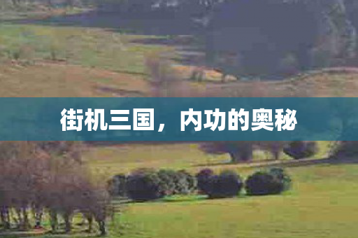 街机三国，内功的奥秘
