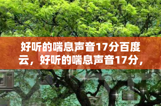 好听的喘息声音17分百度云，好听的喘息声音17分，探索声音的奥秘与魅力