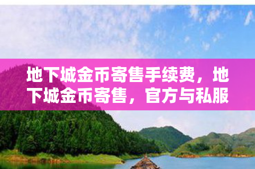 地下城金币寄售手续费，地下城金币寄售，官方与私服的交易差异与风险分析