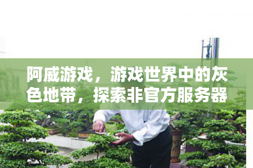 阿威游戏,游戏世界中的灰色地带,探索非官方服务器的魅力与挑战 阿威游戏,游戏世界中的灰色地带,探索非官方服务器的魅力与挑战