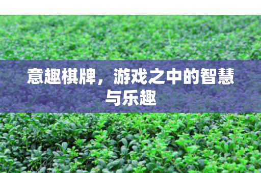 意趣棋牌，游戏之中的智慧与乐趣