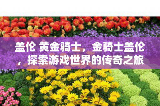 盖伦 黄金骑士，金骑士盖伦，探索游戏世界的传奇之旅