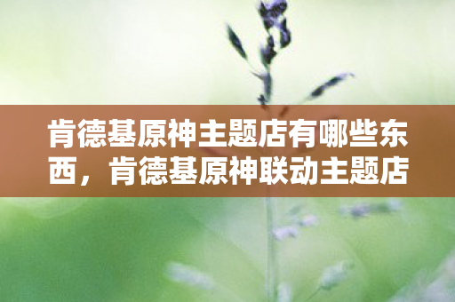 肯德基原神主题店有哪些东西，肯德基原神联动主题店巡礼，探索奇幻世界的味蕾盛宴