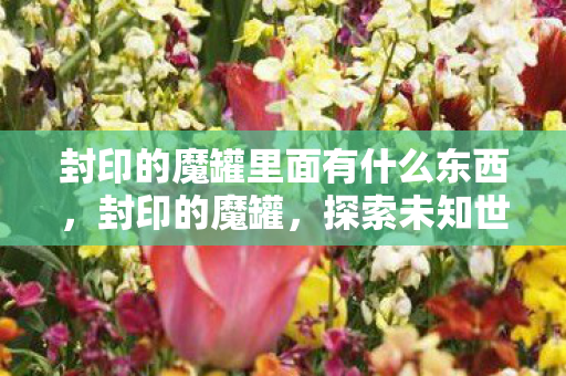 封印的魔罐里面有什么东西，封印的魔罐，探索未知世界的奇幻之旅