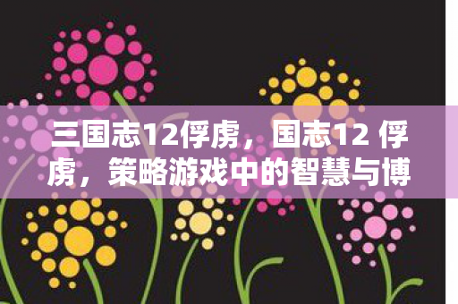 三国志12俘虏，国志12 俘虏，策略游戏中的智慧与博弈