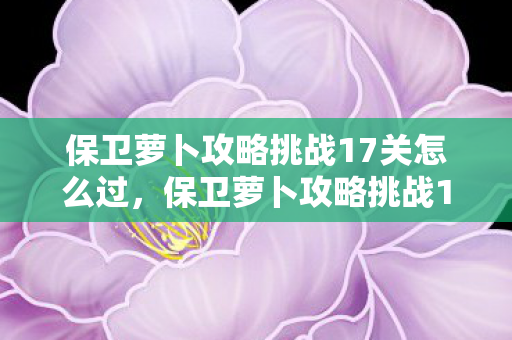 保卫萝卜攻略挑战17关怎么过,保卫萝卜攻略挑战17,策略与技巧的深度解析 保卫萝卜攻略挑战17关怎么过,保卫萝卜攻略挑战17,策略与技巧的深度解析