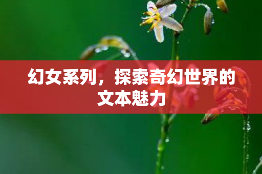 幻女系列，探索奇幻世界的文本魅力
