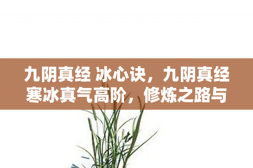 九阴真经 冰心诀,九阴真经寒冰真气高阶,修炼之路与实战应用 九阴真经 冰心诀,九阴真经寒冰真气高阶,修炼之路与实战应用
