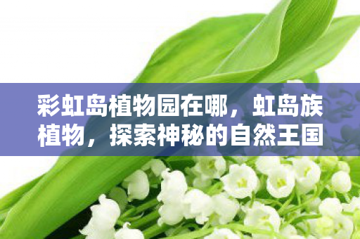 彩虹岛植物园在哪，虹岛族植物，探索神秘的自然王国