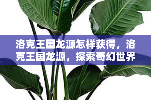 洛克王国龙源怎样获得,洛克王国龙源,探索奇幻世界的无尽冒险 洛克王国龙源怎样获得,洛克王国龙源,探索奇幻世界的无尽冒险
