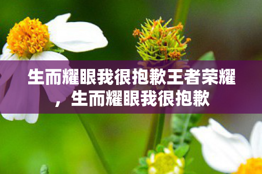 生而耀眼我很抱歉王者荣耀，生而耀眼我很抱歉