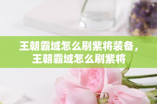 王朝霸域怎么刷紫将装备，王朝霸域怎么刷紫将