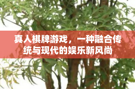 真人棋牌游戏，一种融合传统与现代的娱乐新风尚