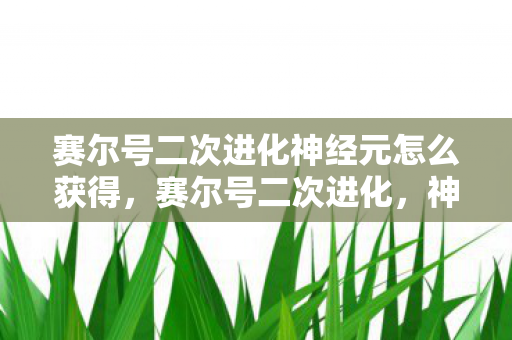 赛尔号二次进化神经元怎么获得，赛尔号二次进化，神经元的奥秘与游戏新纪元