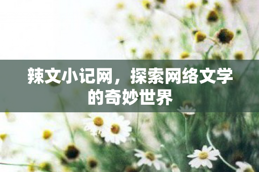 辣文小记网，探索网络文学的奇妙世界