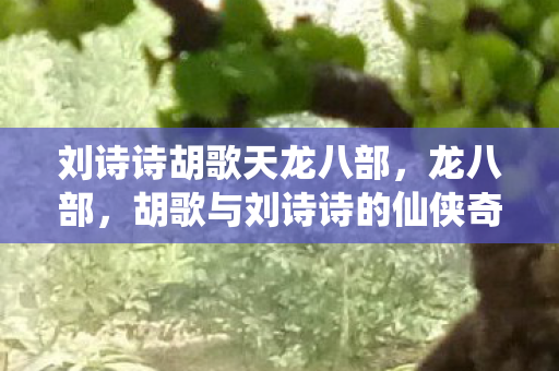 刘诗诗胡歌天龙八部，龙八部，胡歌与刘诗诗的仙侠奇缘