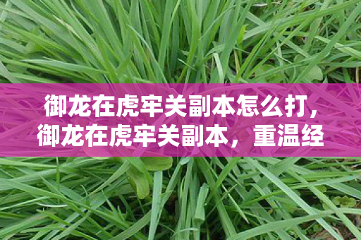 御龙在虎牢关副本怎么打,御龙在虎牢关副本,重温经典,挑战历史 御龙在虎牢关副本怎么打,御龙在虎牢关副本,重温经典,挑战历史