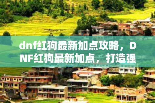 dnf红狗最新加点攻略，DNF红狗最新加点，打造强势战斗力的关键