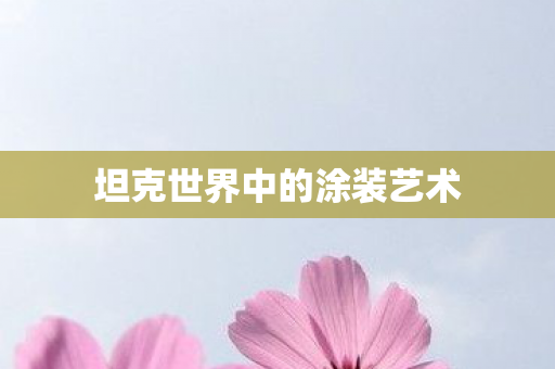 坦克世界中的涂装艺术