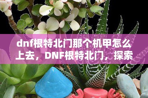 dnf根特北门那个机甲怎么上去，DNF根特北门，探索未知的挑战与机遇