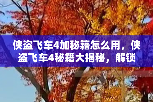 侠盗飞车4加秘籍怎么用，侠盗飞车4秘籍大揭秘，解锁无限可能