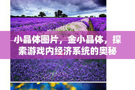 小晶体图片，金小晶体，探索游戏内经济系统的奥秘