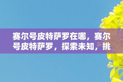 赛尔号皮特萨罗在哪,赛尔号皮特萨罗,探索未知,挑战极限 赛尔号皮特萨罗在哪,赛尔号皮特萨罗,探索未知,挑战极限