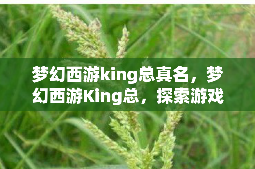 梦幻西游king总真名,梦幻西游King总,探索游戏王者的传奇之路 梦幻西游king总真名,梦幻西游King总,探索游戏王者的传奇之路