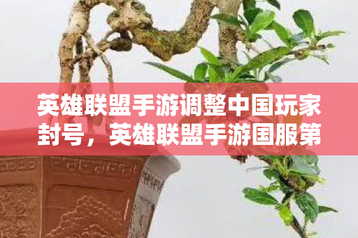 英雄联盟手游调整中国玩家封号，英雄联盟手游国服第一被封号，探究背后的原因与反思