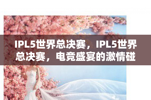 IPL5世界总决赛，IPL5世界总决赛，电竞盛宴的激情碰撞