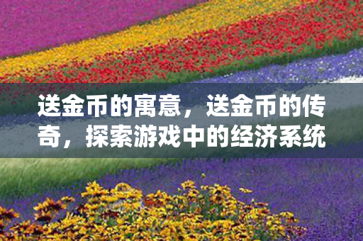送金币的寓意，送金币的传奇，探索游戏中的经济系统与玩家互动