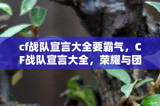 cf战队宣言大全要霸气，CF战队宣言大全，荣耀与团结的誓言