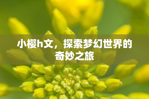小樱h文，探索梦幻世界的奇妙之旅