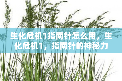 生化危机1指南针怎么用，生化危机1，指南针的神秘力量
