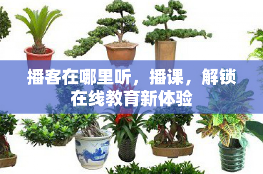 播客在哪里听，播课，解锁在线教育新体验