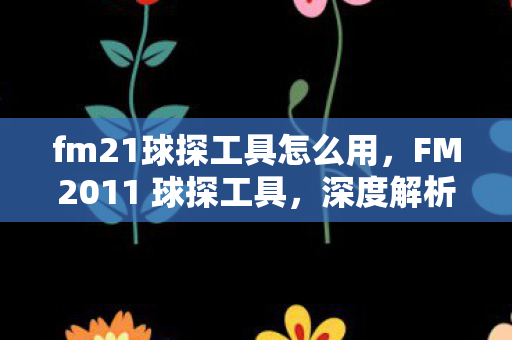 fm21球探工具怎么用，FM2011 球探工具，深度解析其应用与优势