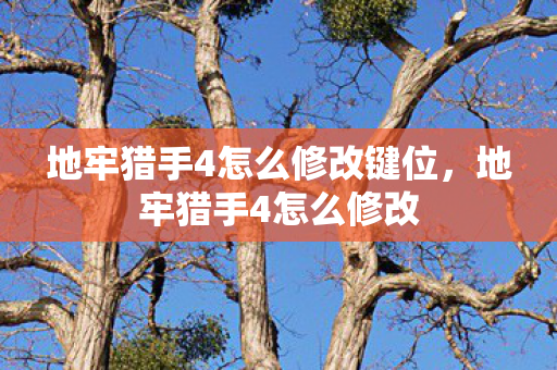 地牢猎手4怎么修改键位,地牢猎手4怎么修改 地牢猎手4怎么修改键位,地牢猎手4怎么修改