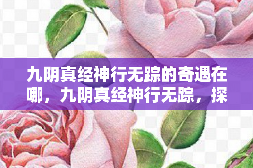 九阴真经神行无踪的奇遇在哪，九阴真经神行无踪，探索武侠世界的轻功奥秘