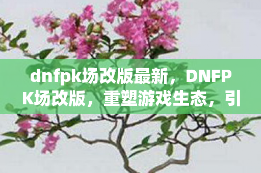 dnfpk场改版最新，DNFPK场改版，重塑游戏生态，引领全新体验