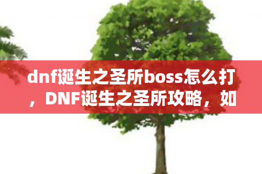 dnf诞生之圣所boss怎么打，DNF诞生之圣所攻略，如何高效通关