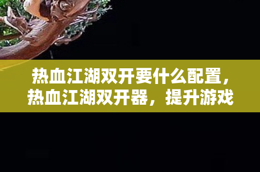 热血江湖双开要什么配置，热血江湖双开器，提升游戏体验的利器